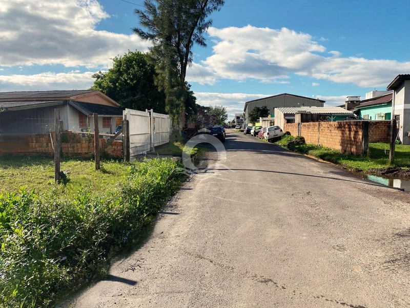 TERRENO NO ARCO IRIS LADO SERRA: 2ª foto da galeria de imagens do imóvel