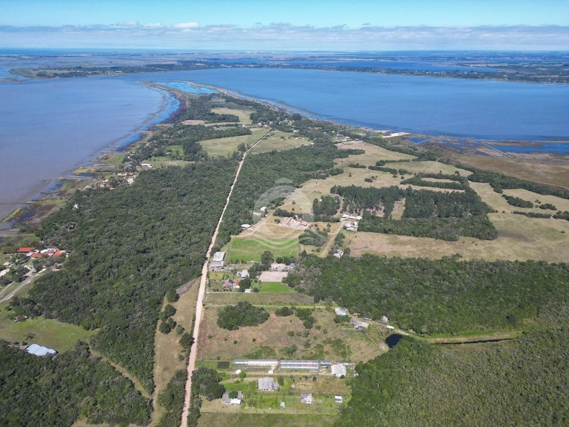 Sítio 3000m² terreno plano venda Faxinal Morro Alto Maquiné: 10ª foto da galeria de imagens do imóvel