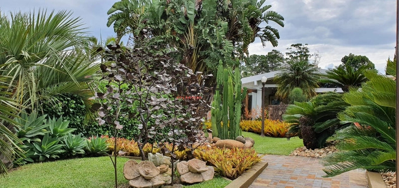 Casa com 05 terrenos, em Atlântida, Xangri-lá RS: 30ª foto da galeria de imagens do imóvel