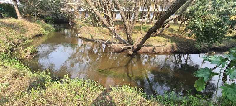 Excelente área de terra em Rio Grande com 2,5 héctares: 11ª foto da galeria de imagens do imóvel