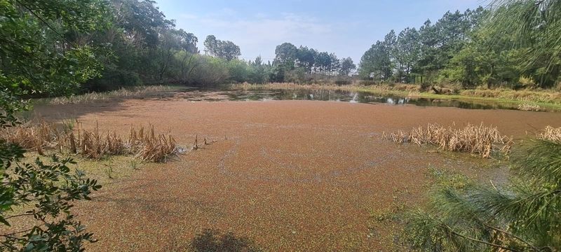 Excelente área de terra em Rio Grande com 2,5 héctares: 9ª foto da galeria de imagens do imóvel
