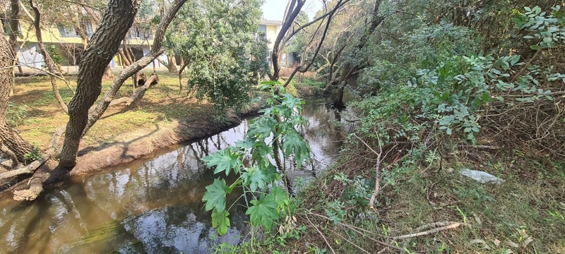 Excelente área de terra em Rio Grande com 2,5 héctares: 12ª foto da galeria de imagens do imóvel