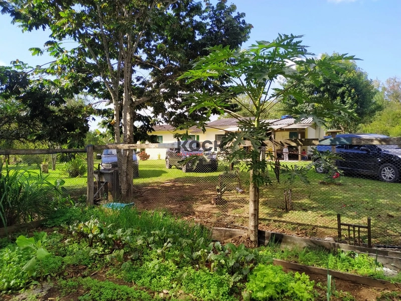 Sítio 3.600m² em Três Pinheiros, Itati: 14ª foto da galeria de imagens do imóvel