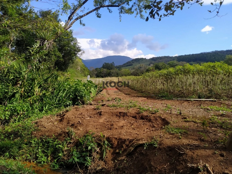 Sítio 3.600m² em Três Pinheiros, Itati: 9ª foto da galeria de imagens do imóvel