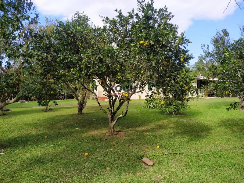 Sítio 3.600m² em Três Pinheiros, Itati: 10ª foto da galeria de imagens do imóvel