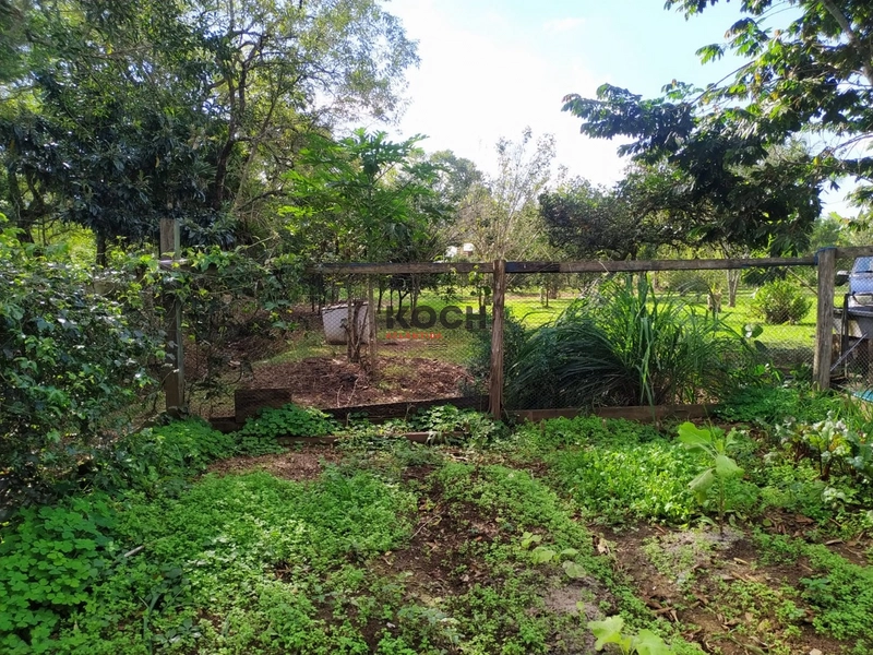 Sítio 3.600m² em Três Pinheiros, Itati: 12ª foto da galeria de imagens do imóvel