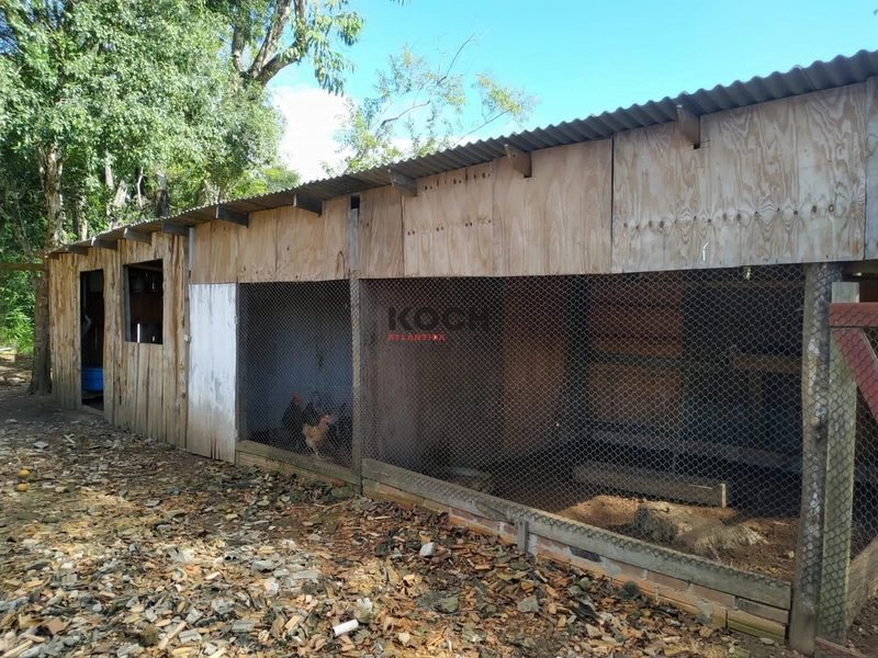 Sítio 3.600m² em Três Pinheiros, Itati: 18ª foto da galeria de imagens do imóvel