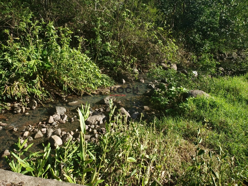 Sítio com 2.7 hectares em Três Foquilhas: 4ª foto da galeria de imagens do imóvel