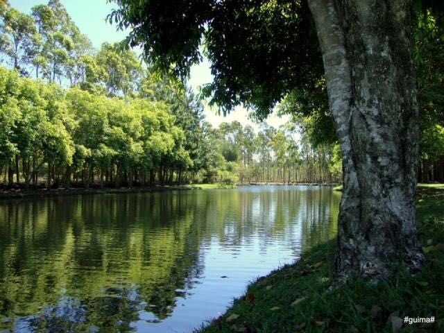 Casa em condomínio com 4 suítes em Capão da Canoa.: 5ª foto da galeria de imagens do imóvel