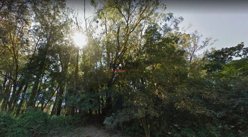 Área de terras em Porto Alegre com vista para o Guaíba: 5ª foto da galeria de imagens do imóvel