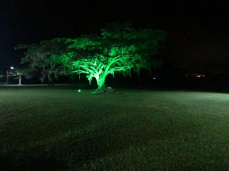 Área com 1,7 hectares na frente da lagoa: 16ª foto da galeria de imagens do imóvel