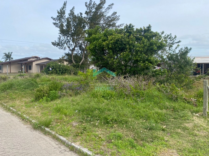 TERRENOS À VENDA EM NOIVA DO MAR: 1ª foto da galeria de imagens do imóvel