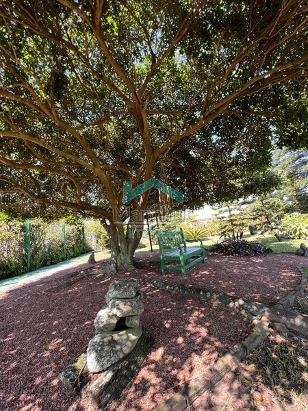 CASA COM 02 LOTES À VENDA NO REMANSO: 6ª foto da galeria de imagens do imóvel