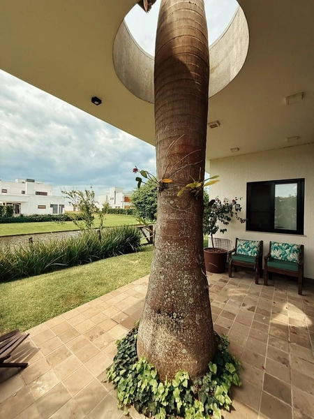 Casa no condomínio Reserva das Aguas 3 dormitórios com suíte master: 6ª foto da galeria de imagens do imóvel