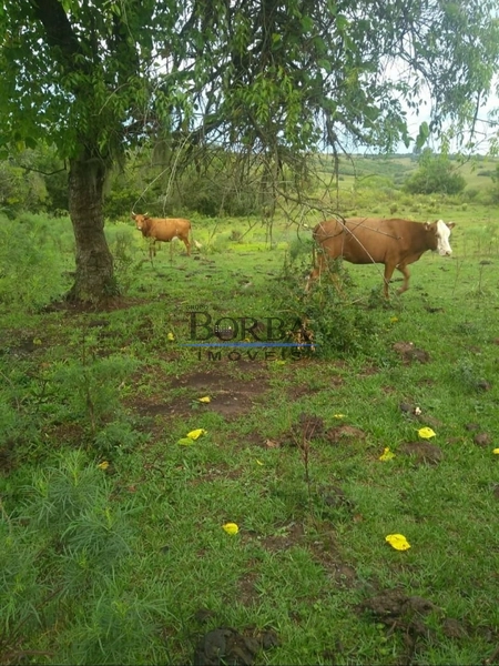 : 2ª foto da galeria de imagens do imóvel