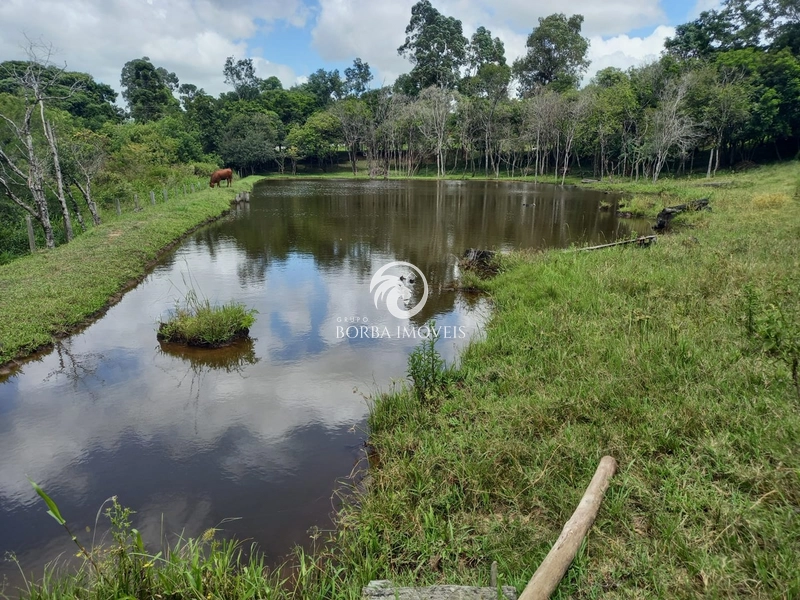 : 7ª foto da galeria de imagens do imóvel