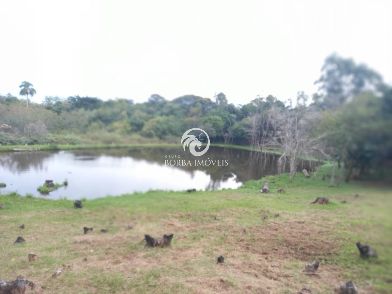 : 12ª foto da galeria de imagens do imóvel