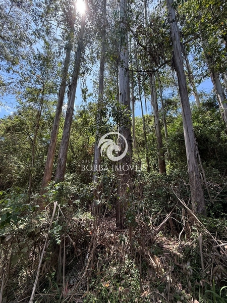 : 3ª foto da galeria de imagens do imóvel