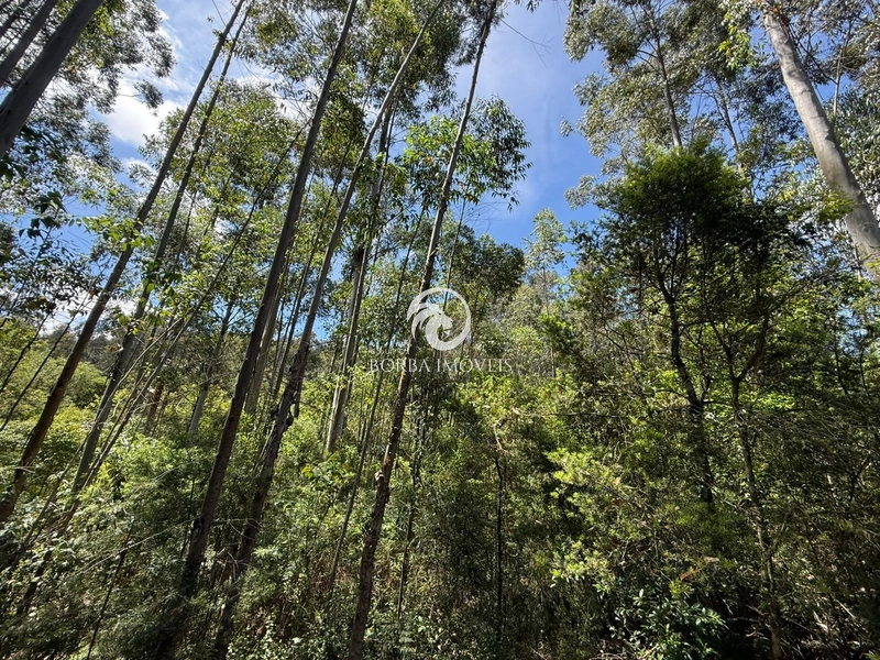 : 1ª foto da galeria de imagens do imóvel