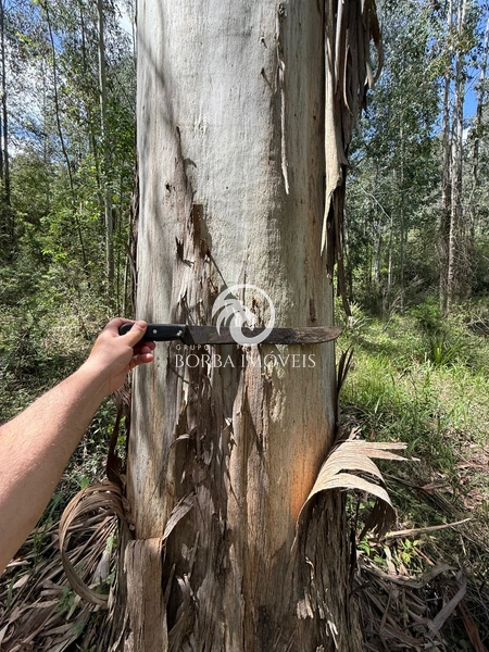 : 6ª foto da galeria de imagens do imóvel