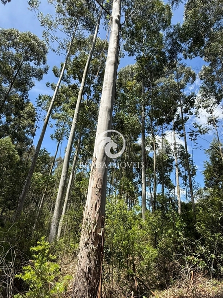 : 2ª foto da galeria de imagens do imóvel