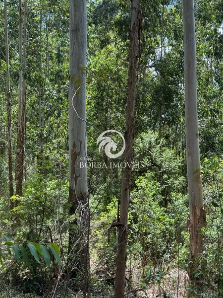 : 4ª foto da galeria de imagens do imóvel