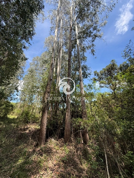 : 5ª foto da galeria de imagens do imóvel