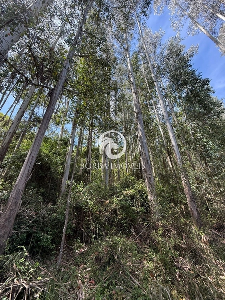 : 9ª foto da galeria de imagens do imóvel