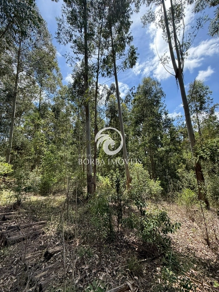 : 8ª foto da galeria de imagens do imóvel