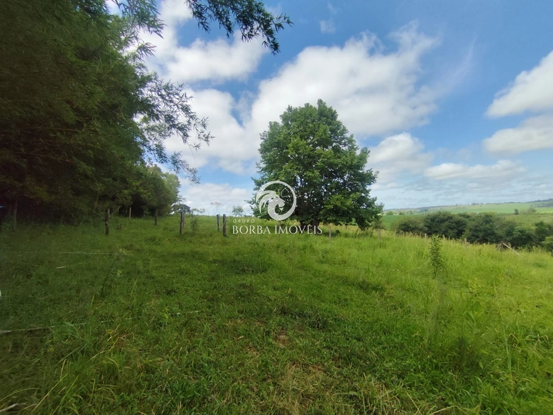 : 3ª foto da galeria de imagens do imóvel