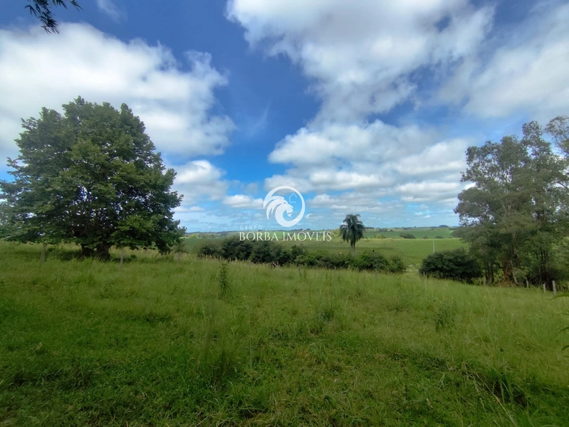 : 2ª foto da galeria de imagens do imóvel