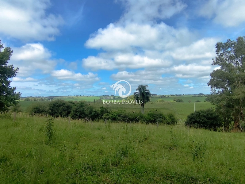 : 5ª foto da galeria de imagens do imóvel