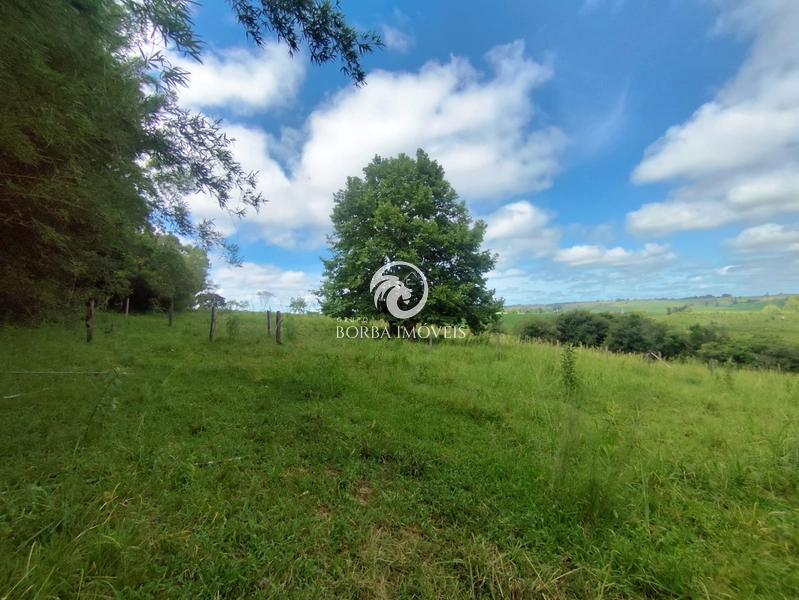 : 4ª foto da galeria de imagens do imóvel