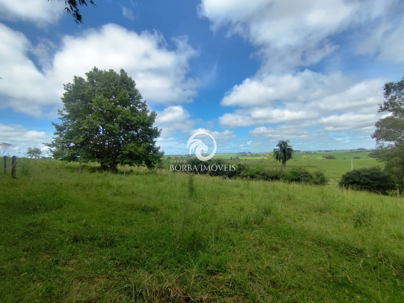 : 6ª foto da galeria de imagens do imóvel