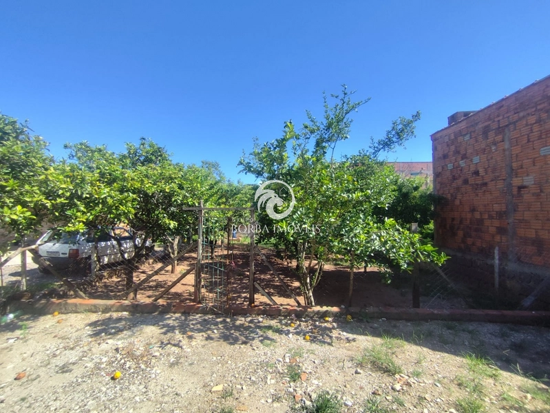 : 7ª foto da galeria de imagens do imóvel