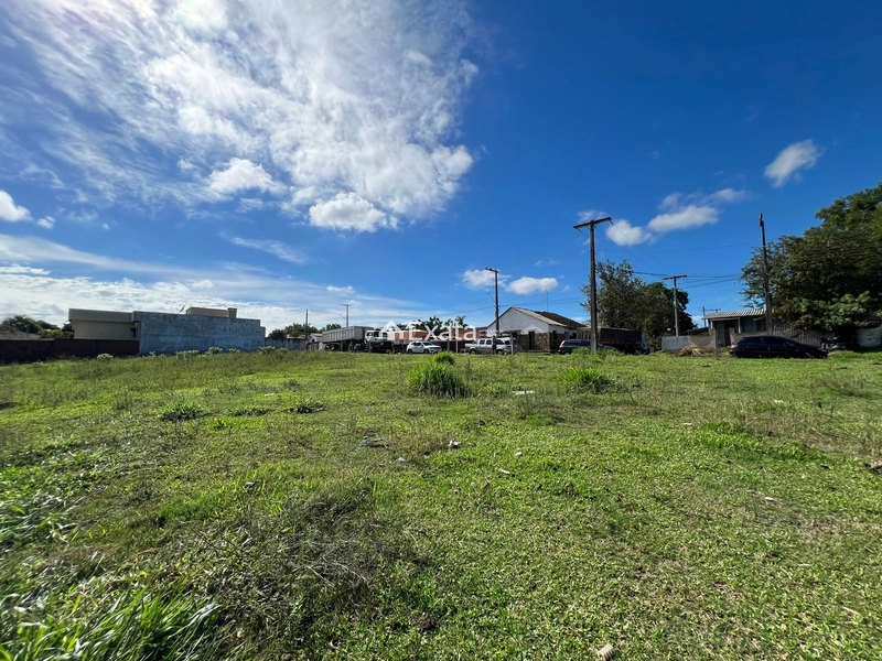 Terreno: 7ª foto da galeria de imagens do imóvel