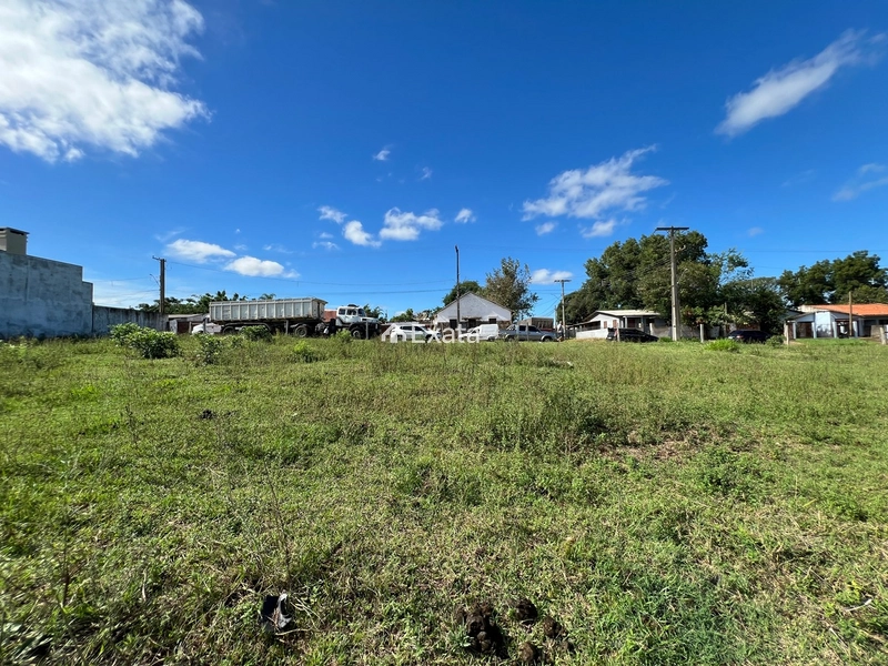 Terreno: 6ª foto da galeria de imagens do imóvel