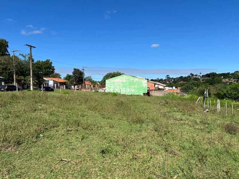 Terreno: 4ª foto da galeria de imagens do imóvel