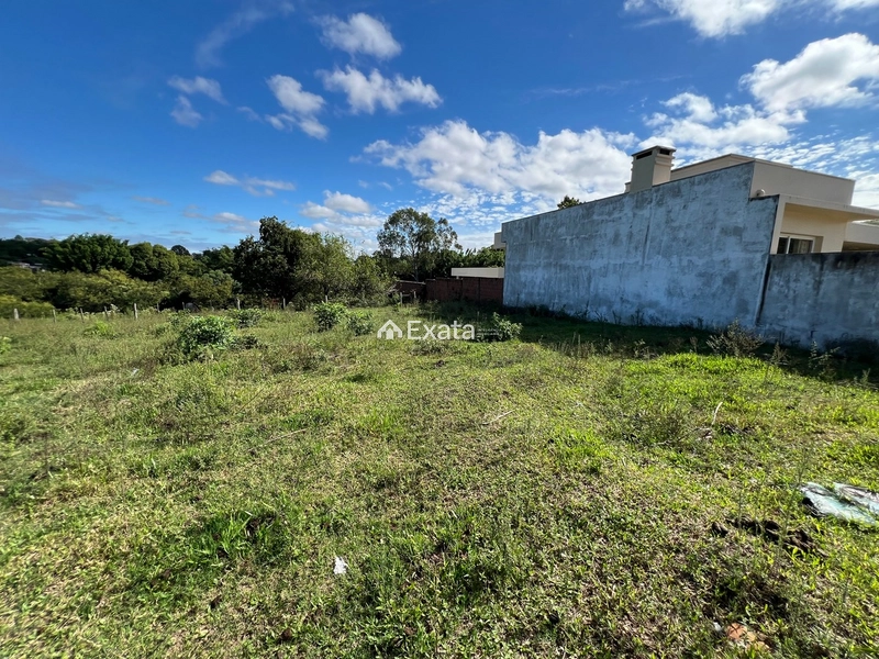 Terreno: 5ª foto da galeria de imagens do imóvel