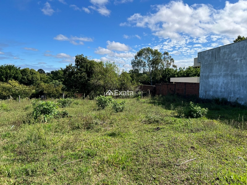 Terreno: 3ª foto da galeria de imagens do imóvel