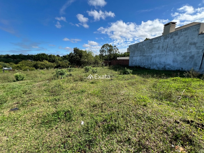Terreno: 2ª foto da galeria de imagens do imóvel