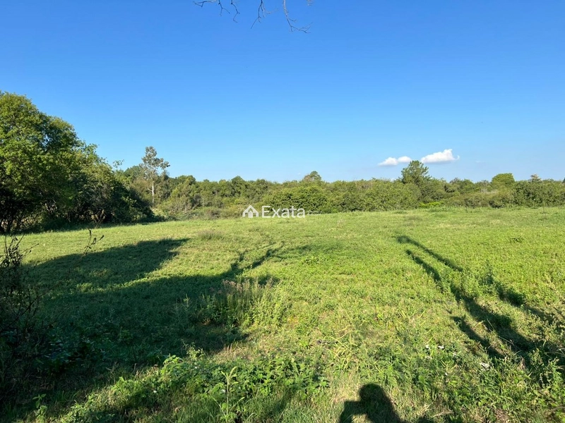 : 1ª foto da galeria de imagens do imóvel