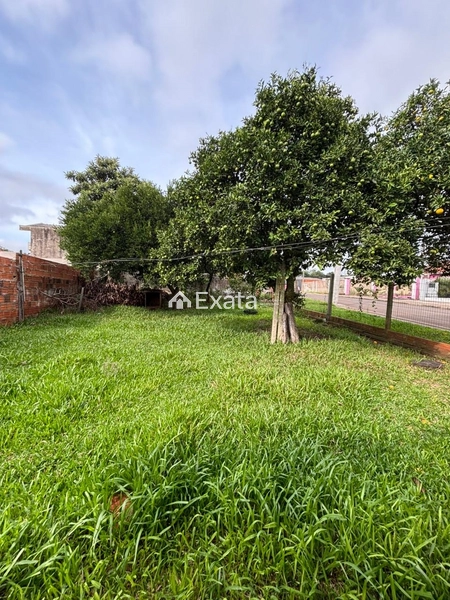 Excelente casa à venda na Cohab!: 3ª foto da galeria de imagens do imóvel