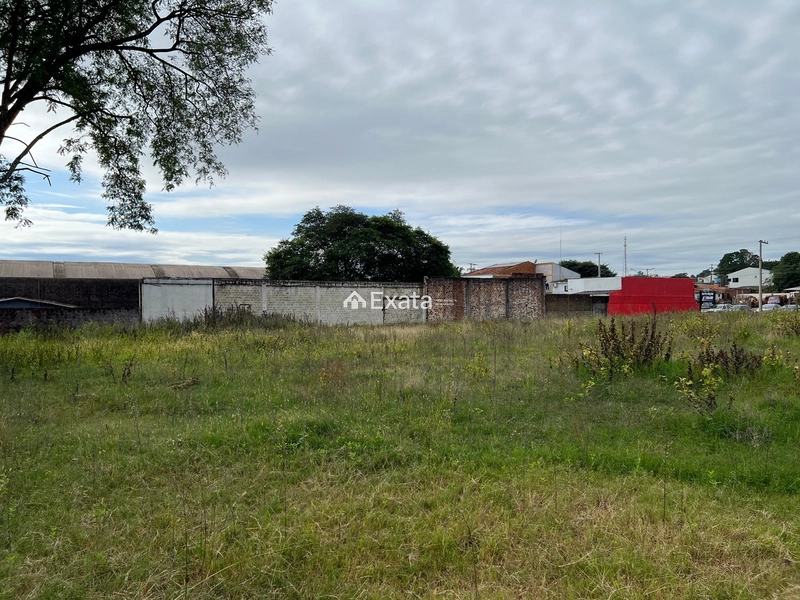 Excelente terreno comercial à venda na Avenida Marcelo Gama!: 9ª foto da galeria de imagens do imóvel