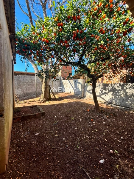Excelente casa disponível para venda!: 15ª foto da galeria de imagens do imóvel