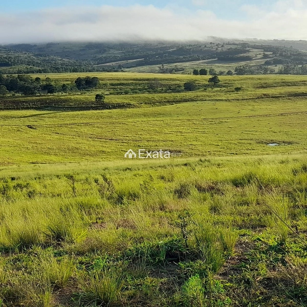 Excelente fazenda disponível para venda!: 1ª foto da galeria de imagens do imóvel