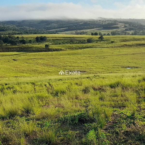 Excelente fazenda disponível para venda!: 8ª foto da galeria de imagens do imóvel