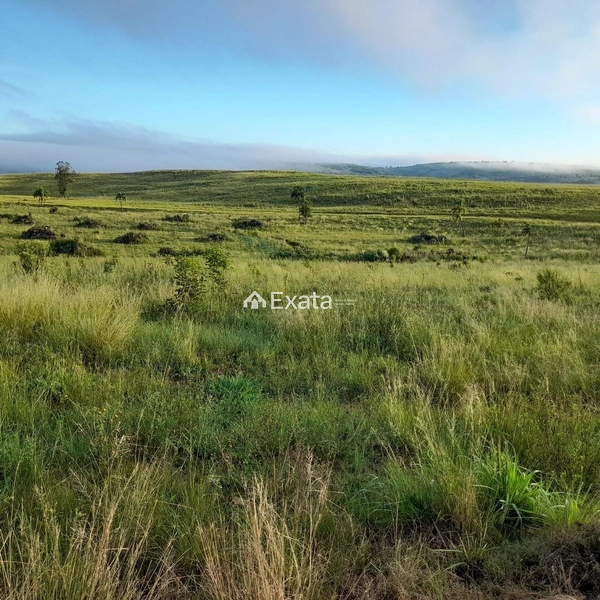Excelente fazenda disponível para venda!: 4ª foto da galeria de imagens do imóvel