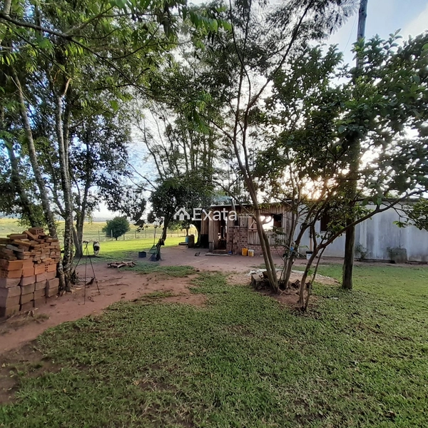Excelente fazenda disponível para venda!: 14ª foto da galeria de imagens do imóvel