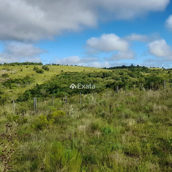 Excelente fazenda disponível para venda!: 3ª foto da galeria de imagens do imóvel
